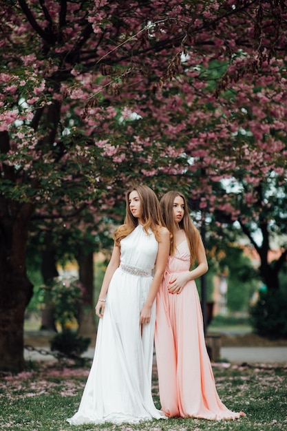 Duas garotas perto de uma árvore florida. Por exemplo, um retrato de uma jovem e bela dama elegante
