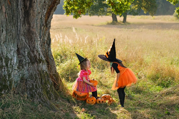 Duas irmãs em vestidos de carnaval de bruxas perto de uma enorme árvore no Halloween