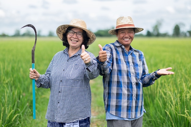 Duas jovens camponesas asiáticas postavam-se alegres nos verdes campos de arroz