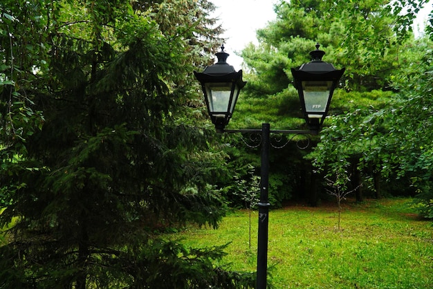 Duas lanternas em um poste de metal em um parque urbano Poste duplo de lâmpada estilo vintage ao ar livre