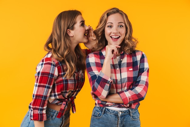 Duas lindas garotas vestindo uma camisa xadrez, conversando sobre fofocas ou segredos uma com a outra, isoladas