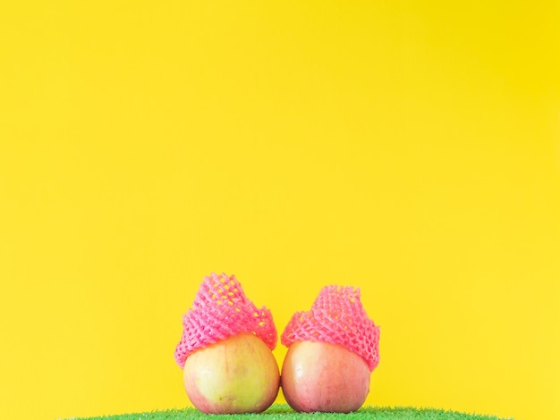 Foto duas maçãs com a luva cor-de-rosa vívida da fruta da malha e fundo amarelo.