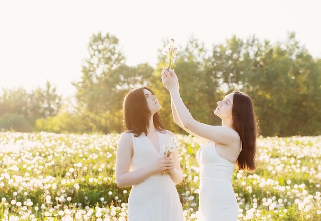 Duas meninas bonitas no Prado com dentes de leão ao pôr do sol