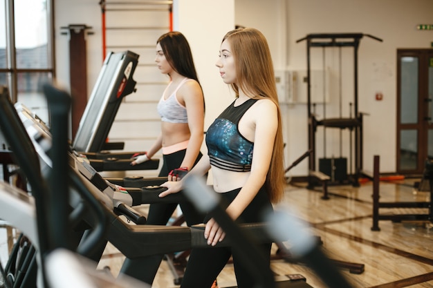 duas meninas de cabelos compridos desportivos e bonitas treina no ginásio