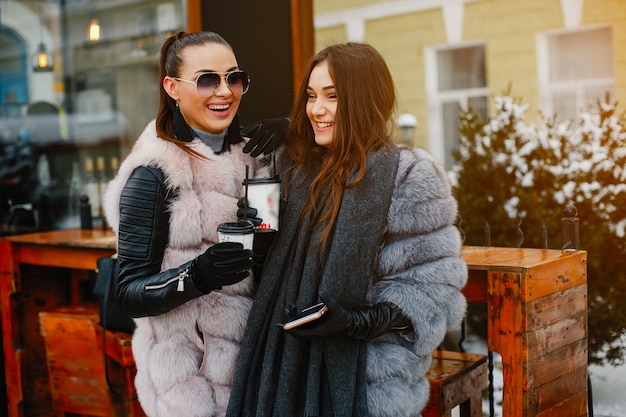 duas meninas elegantes e magníficas em casacos de pele elegantes andando no parque de inverno