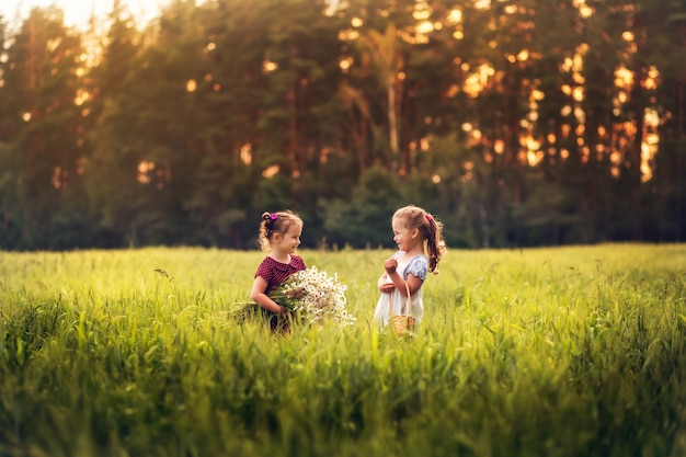 duas meninas em um pasto com flores no verão