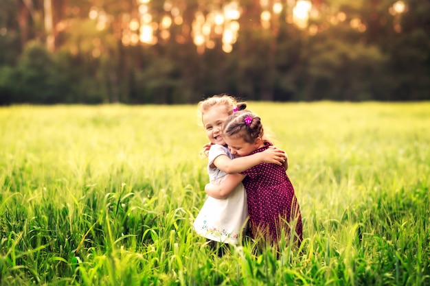 Duas meninas em um pasto com flores no verão