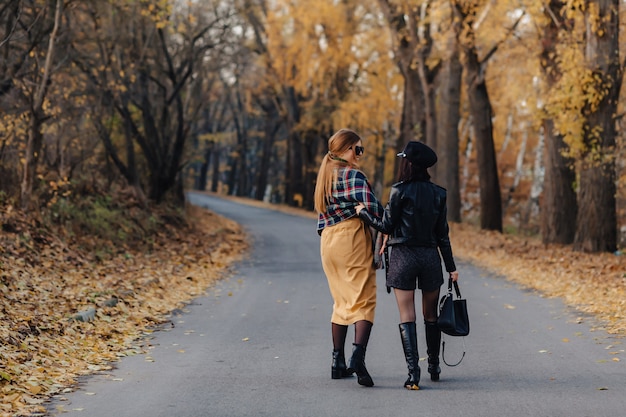Duas moças sorridentes acolhedoras andar na estrada de parque outono