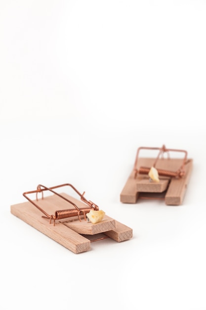 Duas mousetraps com queijo