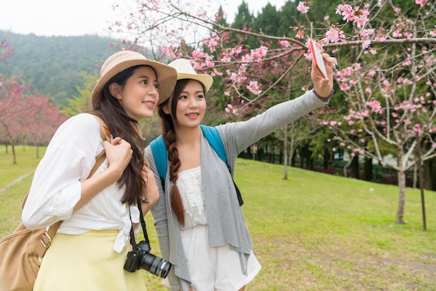 Duas mulheres asiáticas tomando selfie juntos sob as árvores de cerejeira usando seus telefones inteligentes.