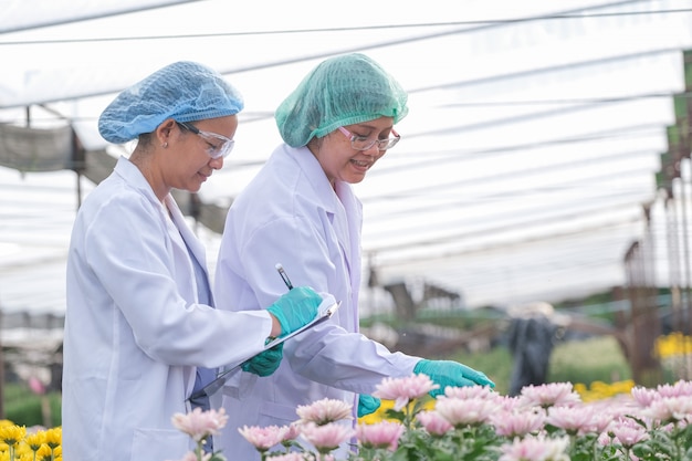 Duas mulheres do cientista com vestido de laboratório e tampa do cabelo estão na frente das flores multicoloridas. Sorrindo com o conceito de boa experiência do negócio de flores.