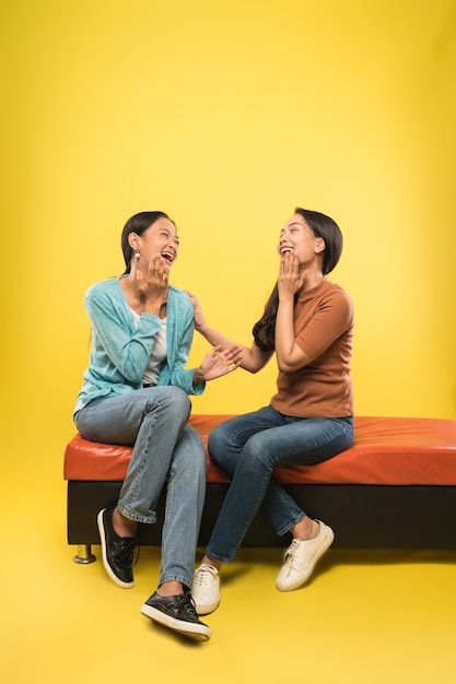 Duas mulheres rindo alegremente enquanto conversam sentadas relaxadas no sofá