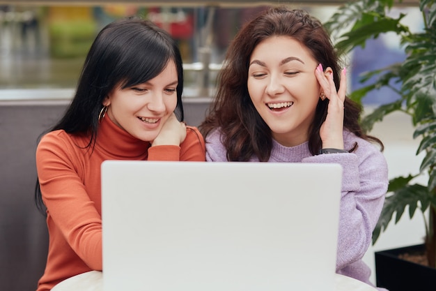 Duas mulheres trabalhando juntas, belas colegas trabalhando no projeto enquanto está sentado na frente do lap top e rindo