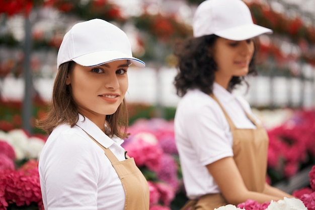 Duas mulheres uniformizadas plantando hortênsias em uma estufa