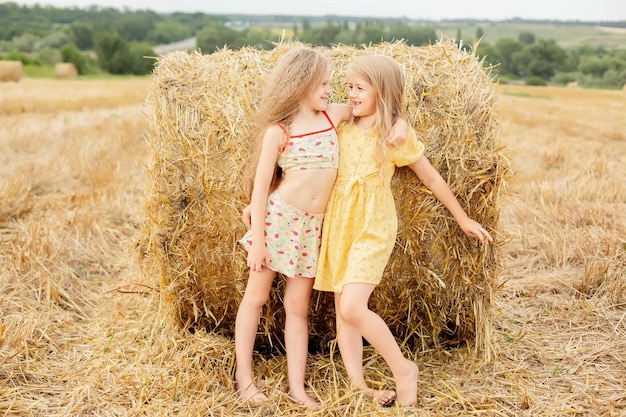 duas namoradas loiras com cabelo comprido estão de pé em um campo por um palheiro feliz