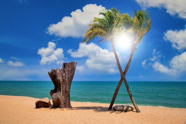Duas palmeiras de coco cruzam na praia tropical durante o dia