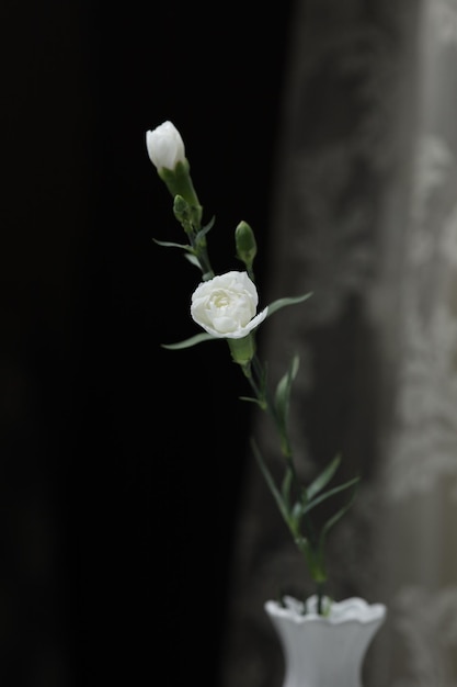 Duas pequenas rosas em um vaso em cima da mesa