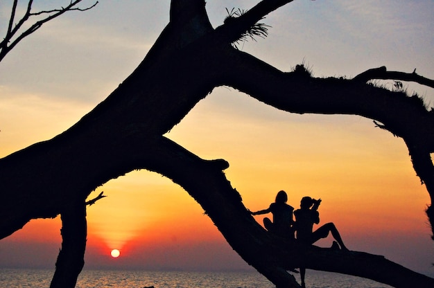 Duas pessoas sentadas em uma árvore ao pôr do sol