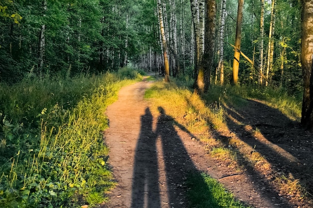 Duas pessoas sombras refletidas no chão à luz do sol na floresta