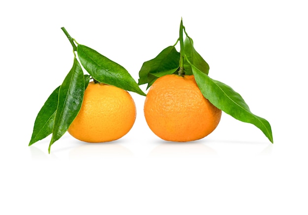 Duas tangerinas maduras com folhas isoladas em um fundo branco