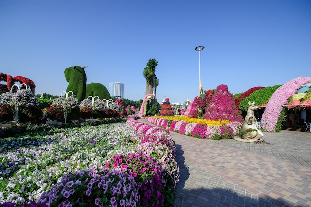 DUBAI UAE 28 DE MARÇO Dubai Miracle Garden nos Emirados Árabes Unidos em 16 de fevereiro de 2022 Tem mais de 45 milhões de flores