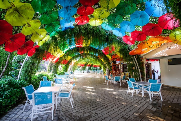 DUBAI UAE 28 DE MARÇO Dubai Miracle Garden nos Emirados Árabes Unidos em 16 de fevereiro de 2022 Tem mais de 45 milhões de flores