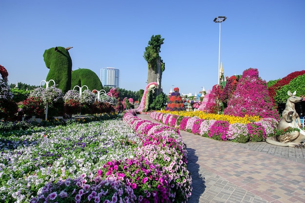 DUBAI VAE 28. MÄRZ Dubai Miracle Garden in den VAE am 16. Februar 2022 Es hat über 45 Millionen Blumen