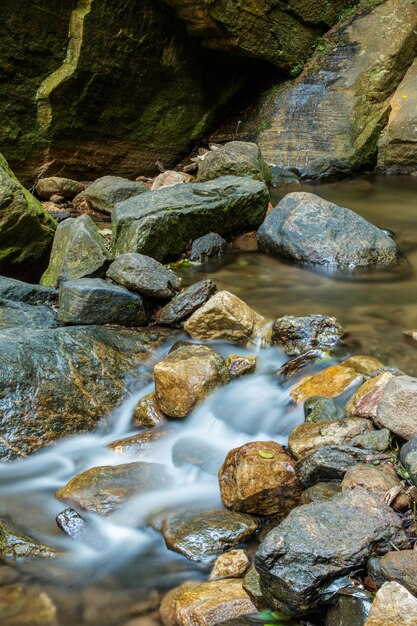 Ducha Cascada en Horto de Río de Janeiro