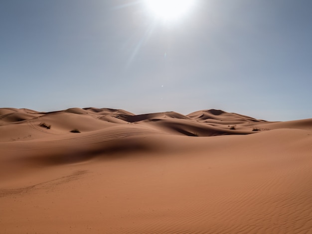 Düne in der Sahara