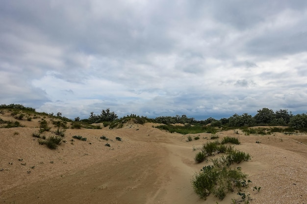 Dünen an der Schwarzmeerküste Vityazevo Russland 2021