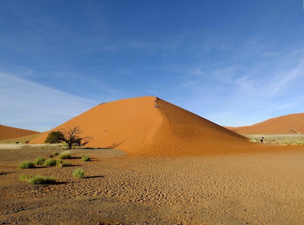 Dünen in der Namib-Wüste Sossusvlei Namibia