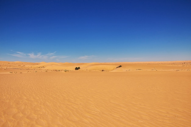 Dünen in der Sahara im Herzen Afrikas