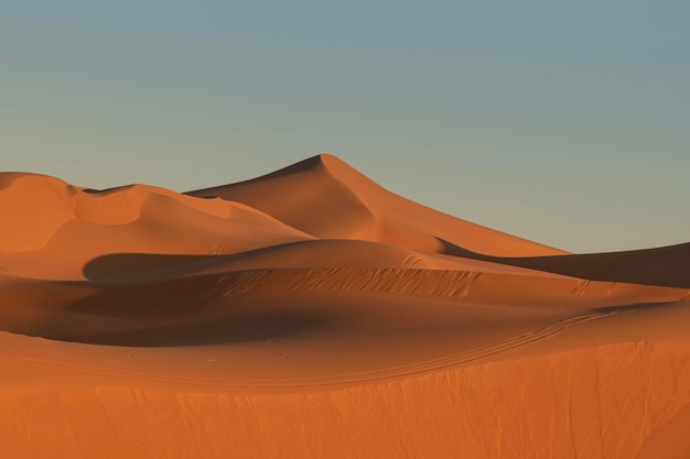 Dünen in der Sahara-Wüste von Taghit. Sand, Welle, Landschaft, Safari, trocken