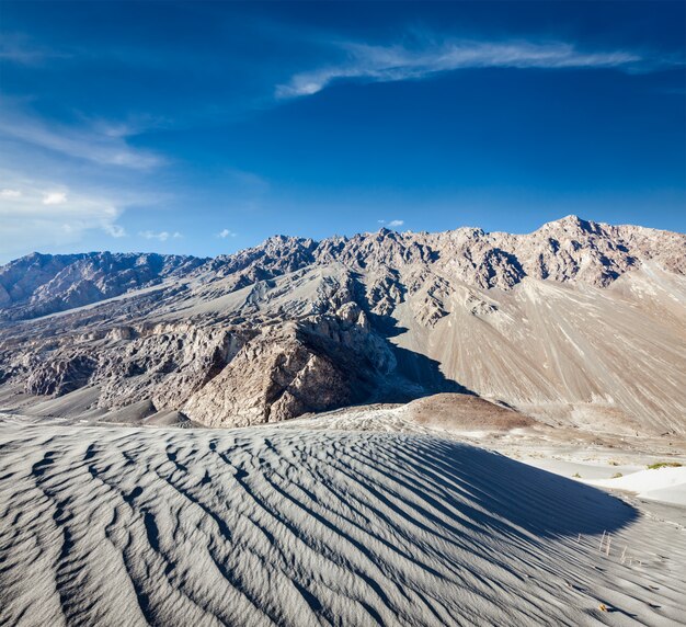 Dünen. Nubra-Tal, Ladakh, Indien