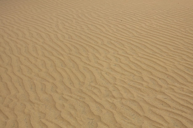 Dünen von Gran Canaria - Sandwüste von Maspalomas, Spanien