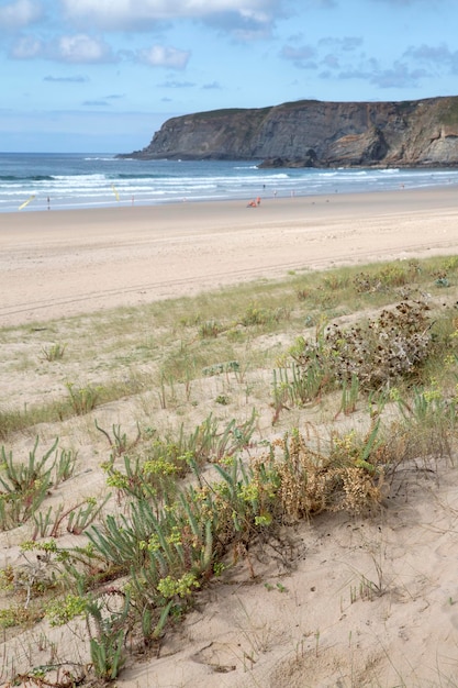 Foto dünen von xago beach in asturien spanien