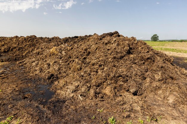 Dünger zur Düngung des Bodens auf dem Feld