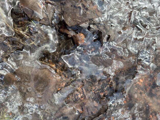 Dünnes, durchsichtiges Eis auf einer Pfütze im Park an einem Frühlingstag, Laub durch das eistrockene Gras