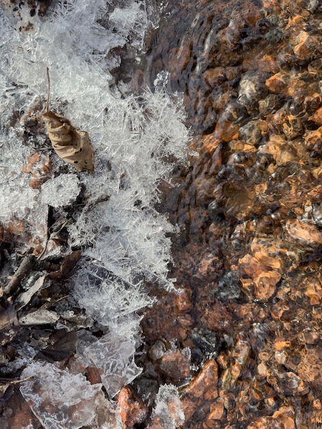 Dünnes, durchsichtiges Eis auf einer Pfütze im Park an einem Frühlingstag, Laub durch das eistrockene Gras