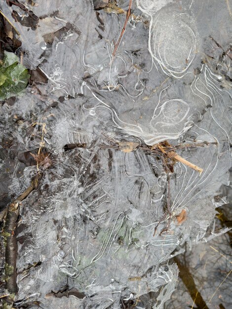 Dünnes, durchsichtiges Eis auf einer Pfütze im Park an einem Wintertag, Laub durch das Eis