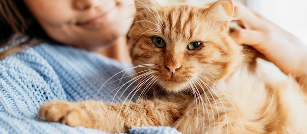 Foto dueño acariciando adorable gato