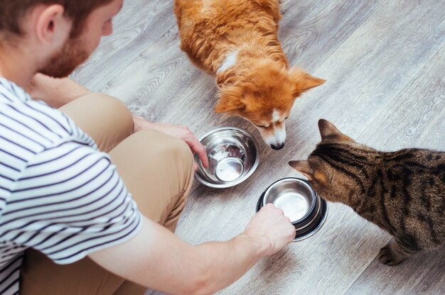 El dueño alimenta al perro y al gato juntos. Dos cuencos vacíos. Cocina. De cerca. Concepto de comida para mascotas