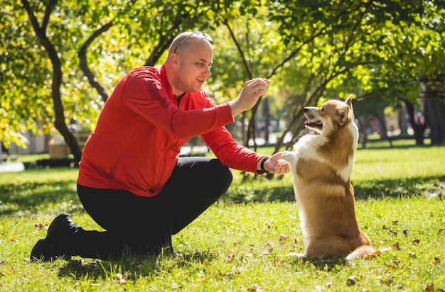 El dueño juega al perro corgi galés en el parque.