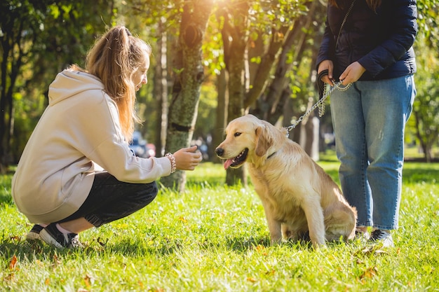 El dueño juega al perro golden retriever en el parque.