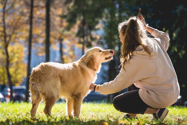 El dueño juega al perro golden retriever en el parque.