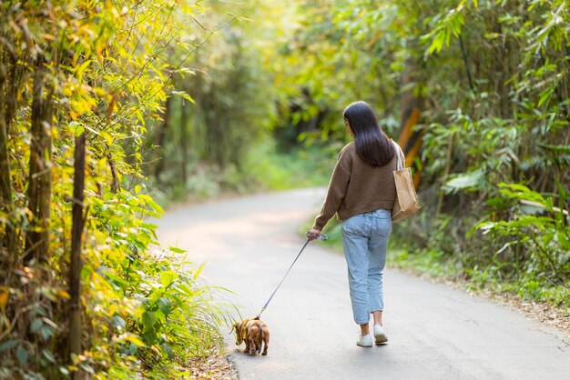 El dueño de la mascota camina con el perro dachshund en el parque