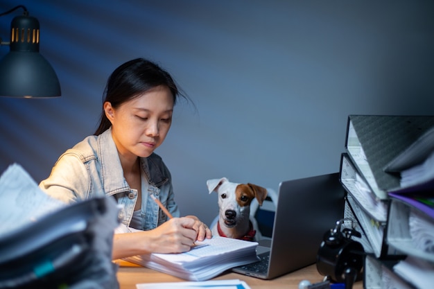 Dueño de la mujer asiática que trabaja horas extras con su perro en casa. Área de trabajo interesante de Jack Russell Terrier. Informe del documento de verificación. Trabajar desde casa.