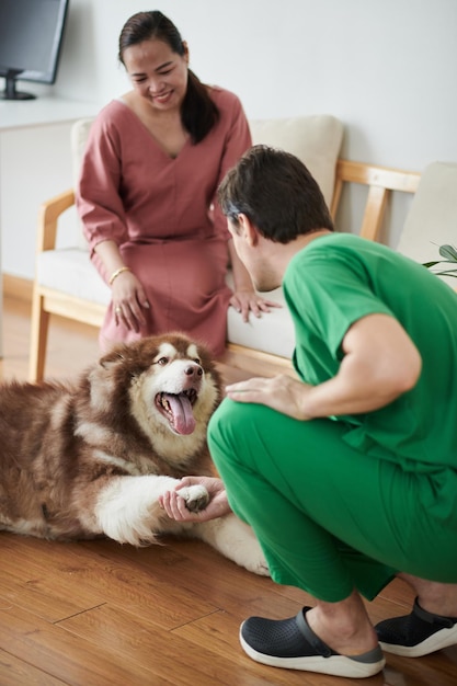 Dueño con Perro Visitante Veterinario