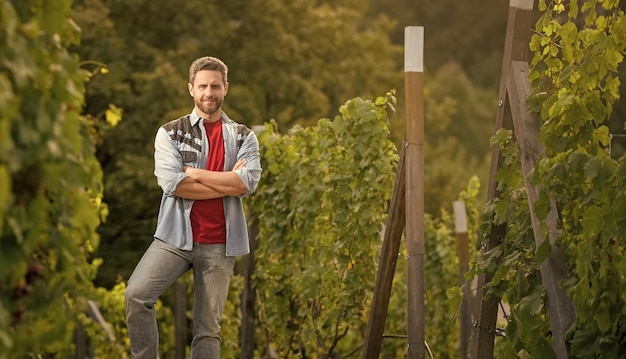 Dueño del viñedo de pie en la bodega entre la granja de uva copia espacio enólogo