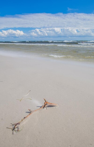 Dueodde, la playa de arena blanca en la costa sur de Bornholm, Dinamarca